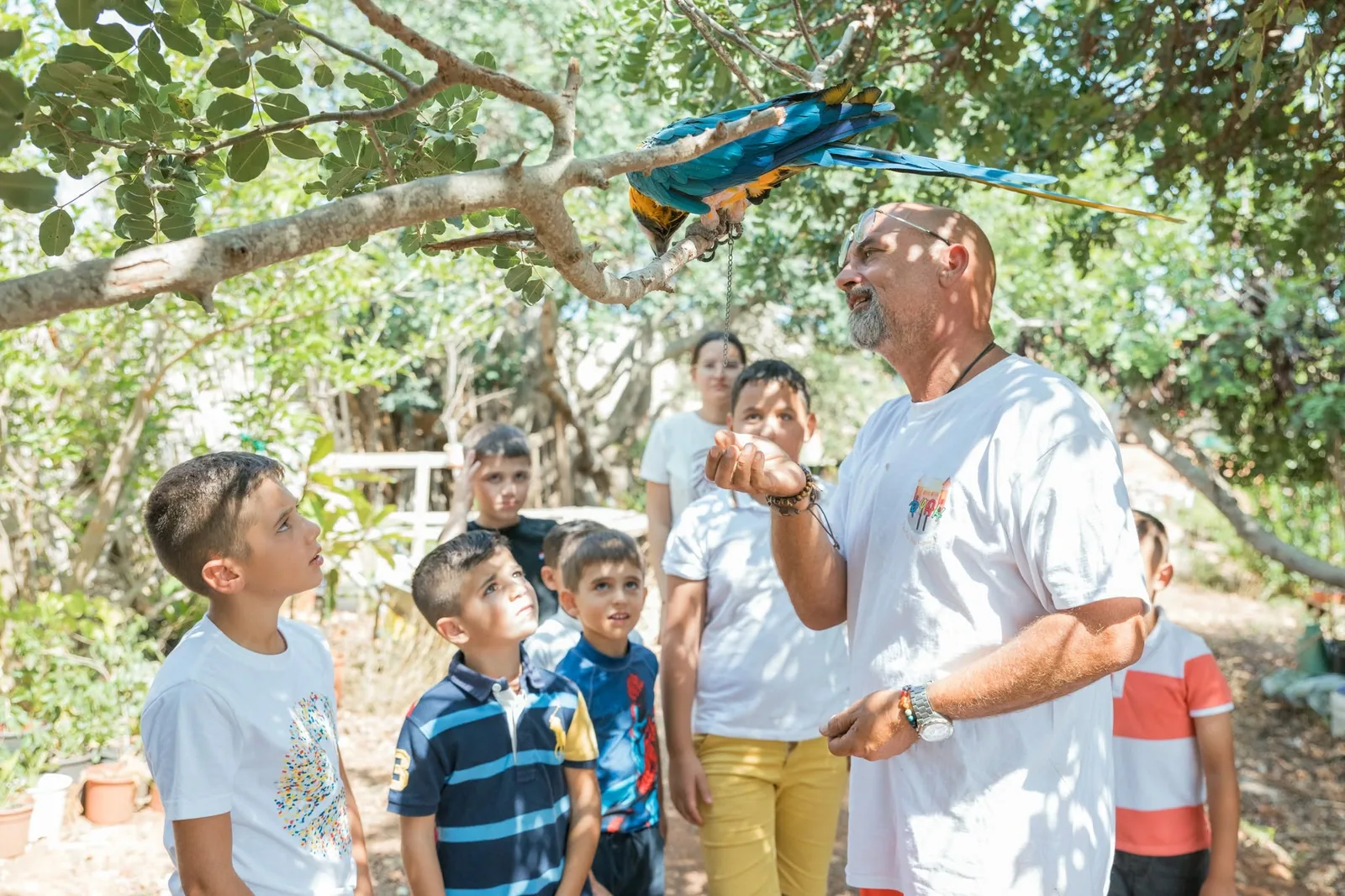 children watching parrot at outdoor party malta